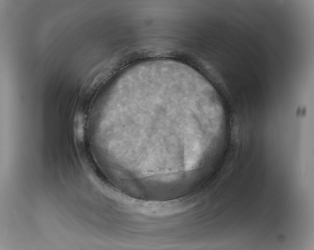 X0000114560026200911091228
