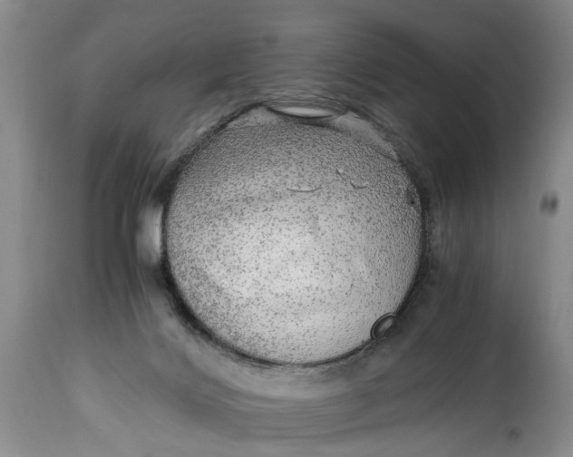 X0000114560028200911091228