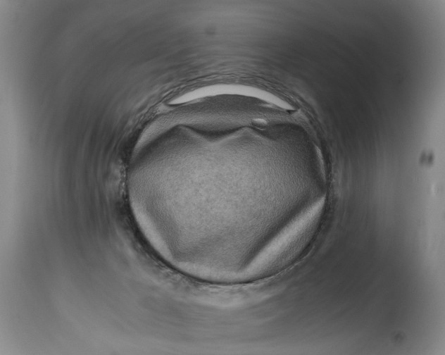 X0000114560029200911091228