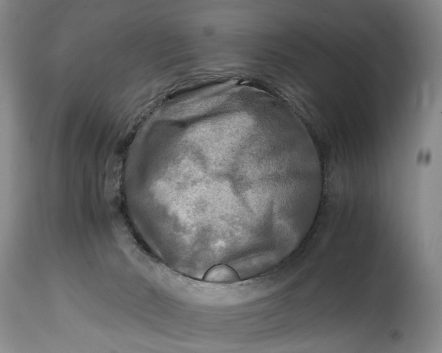 X0000114560030200911091228