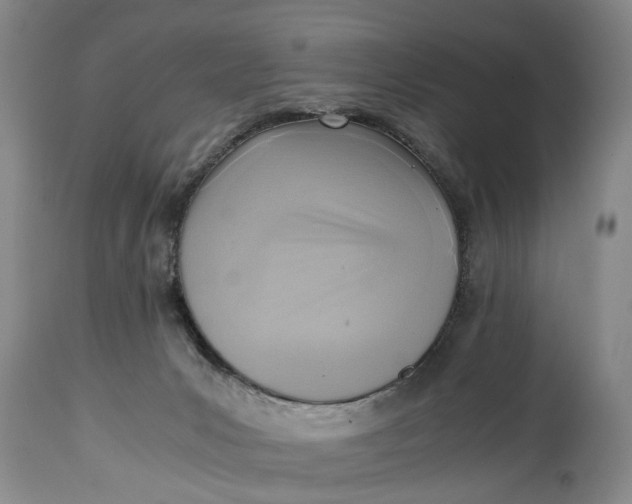 X0000114560031200911091228