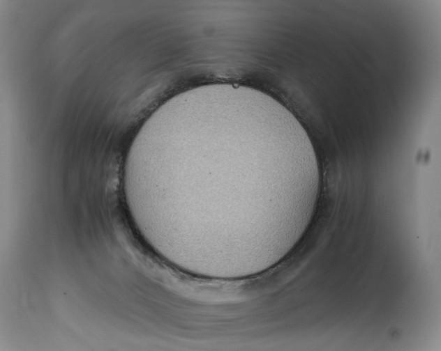 X0000114560032200911091228