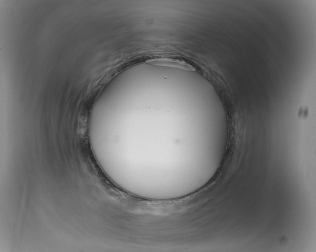 X0000114560033200911091228