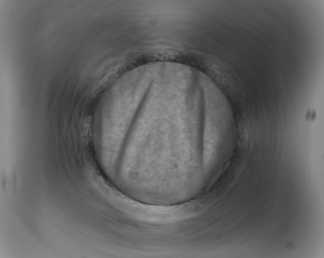X0000114560034200911091228