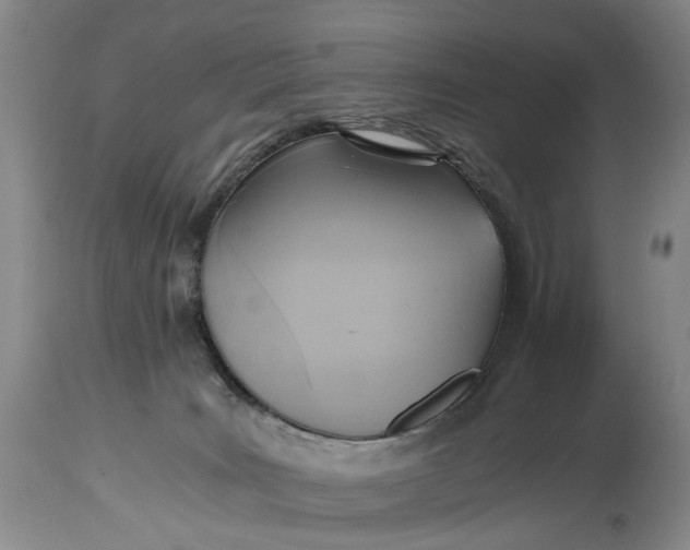 X0000114560035200911091228