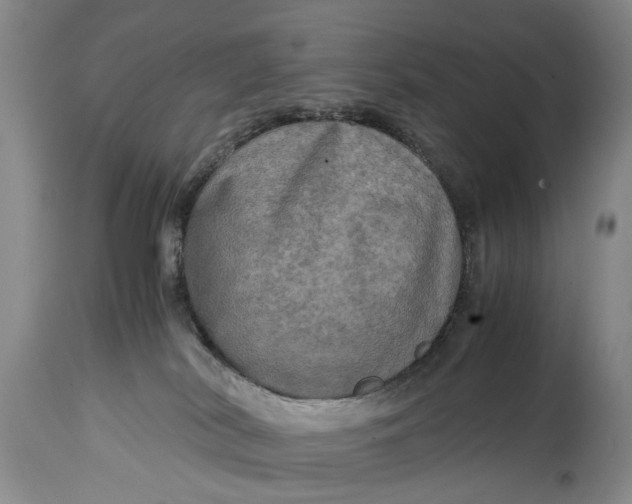 X0000114560038200911091228