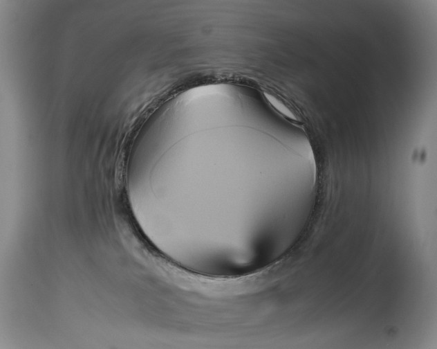 X0000114560039200911091228