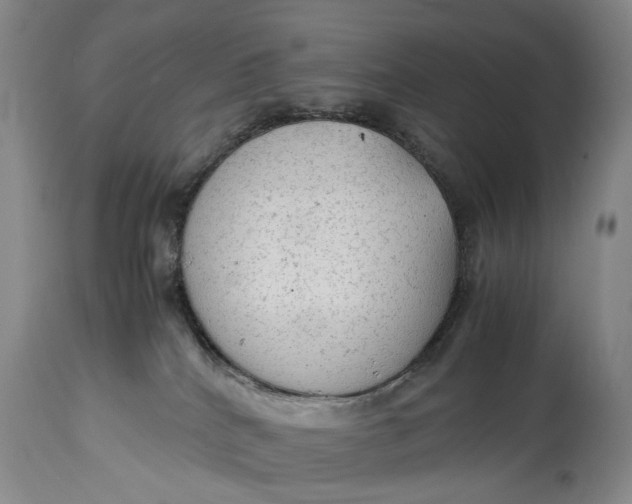 X0000114560040200911091228