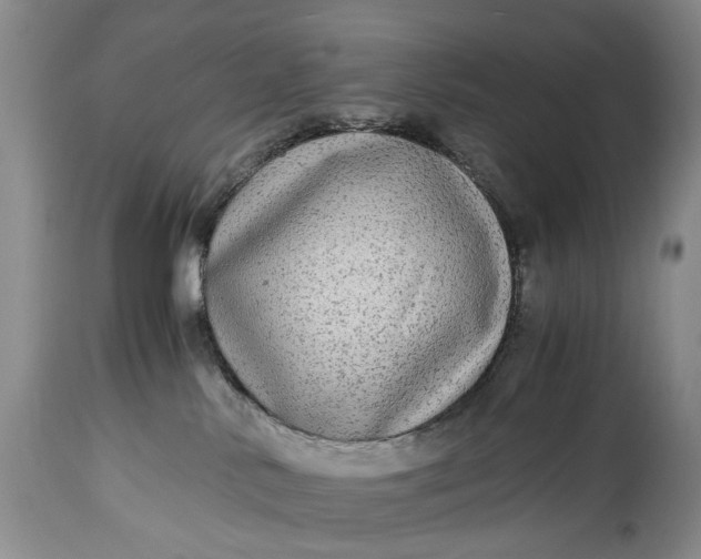 X0000114560042200911091228