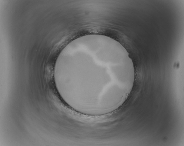 X0000114560043200911091228