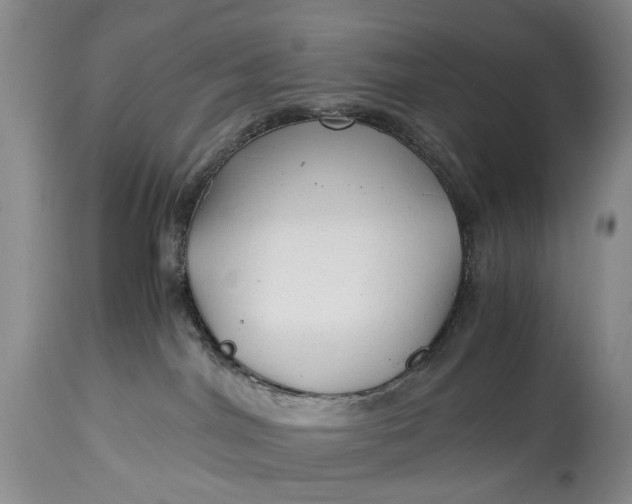 X0000114560044200911091228