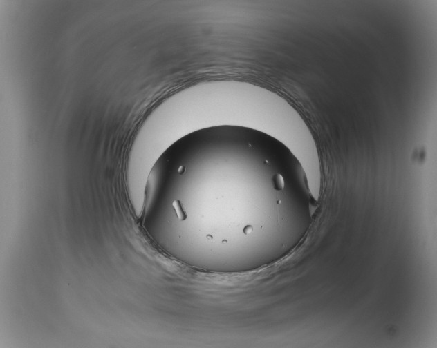 X0000114560045200911091228