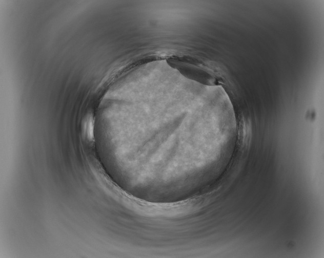 X0000114560046200911091228