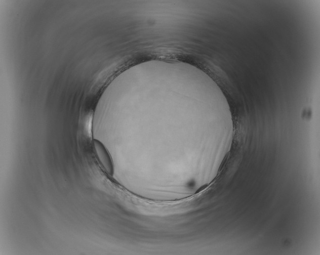 X0000114560047200911091228