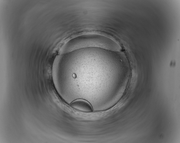 X0000114560048200911091228