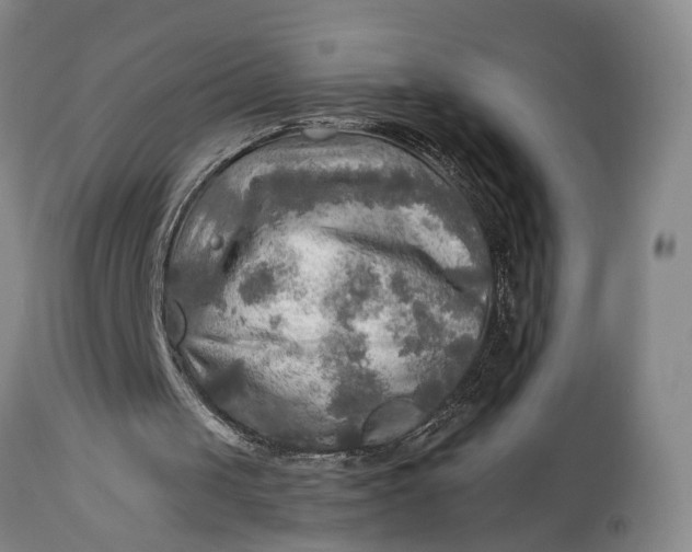 X0000114560049200911091227