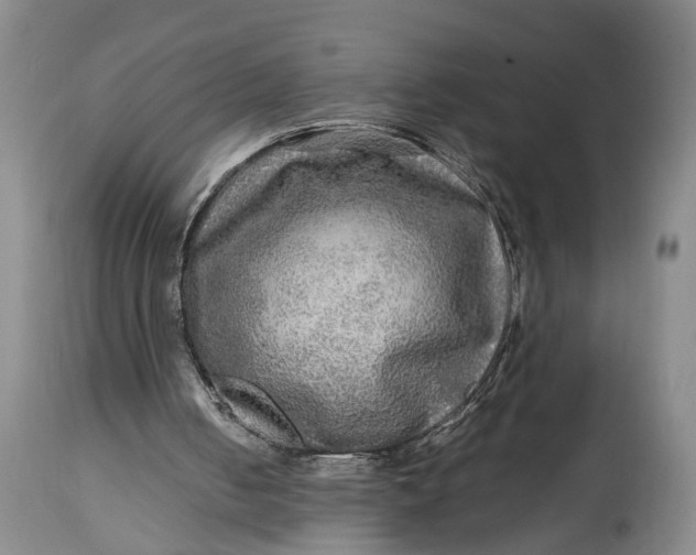X0000114560050200911091227