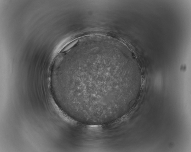 X0000114560053200911091227