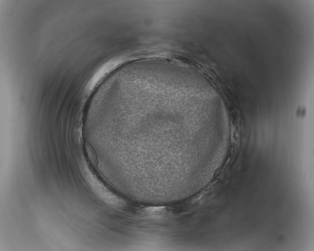 X0000114560054200911091227