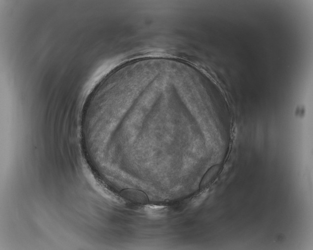 X0000114560055200911091227