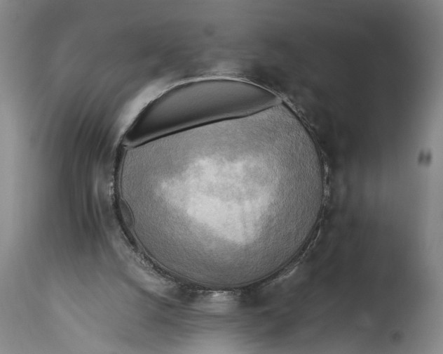 X0000114560056200911091227