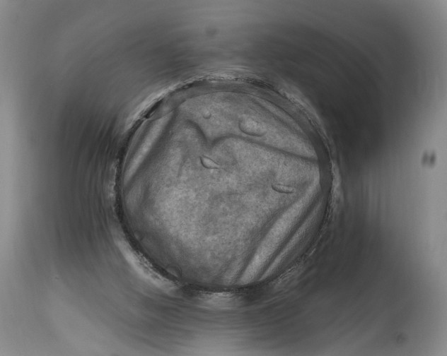 X0000114560058200911091227