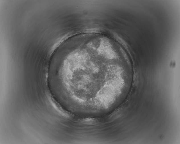 X0000114560059200911091227