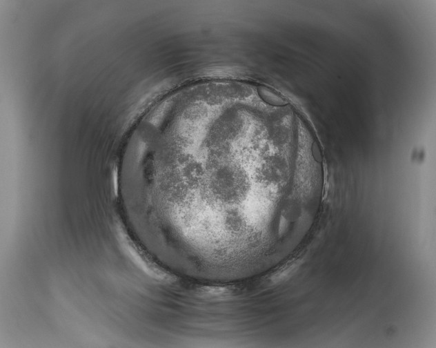 X0000114560061200911091227
