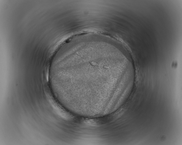 X0000114560062200911091227