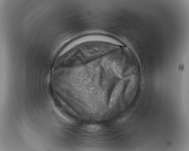 X0000114560063200911091227