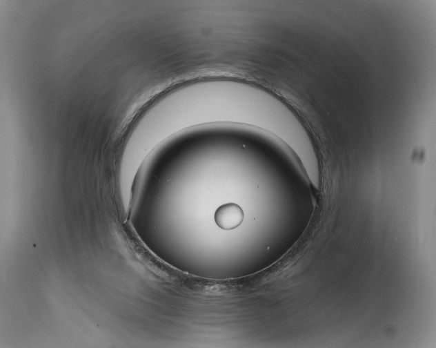 X0000114560064200911091227