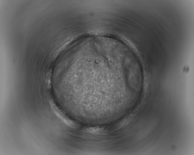 X0000114560065200911091227