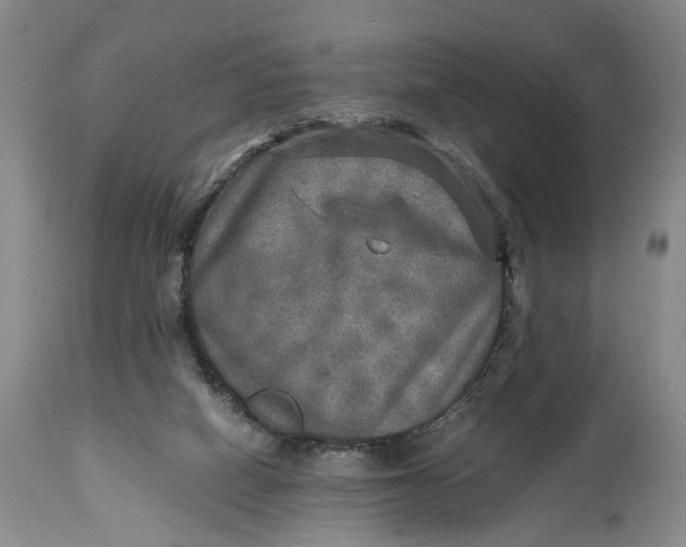 X0000114560066200911091227