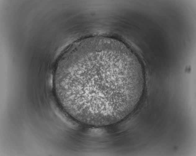 X0000114560067200911091227