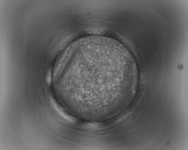 X0000114560069200911091227
