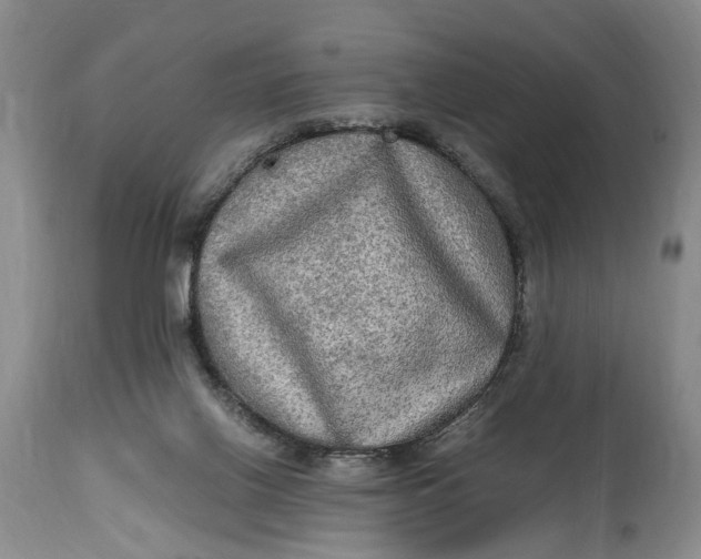 X0000114560070200911091227