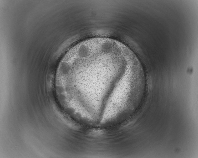 X0000114560071200911091227