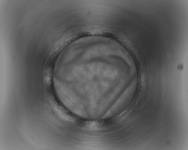 X0000114560074200911091227