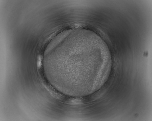 X0000114560075200911091227