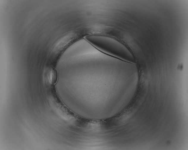 X0000114560076200911091227