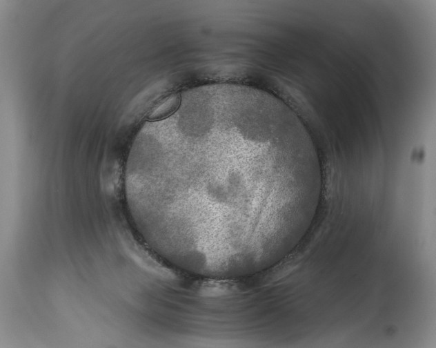 X0000114560077200911091227
