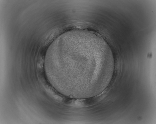 X0000114560078200911091227