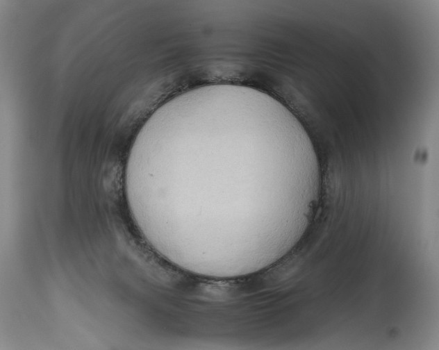 X0000114560079200911091227