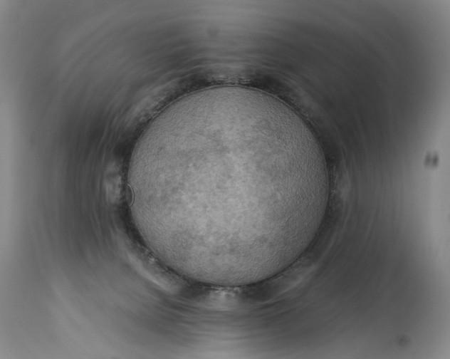 X0000114560080200911091227