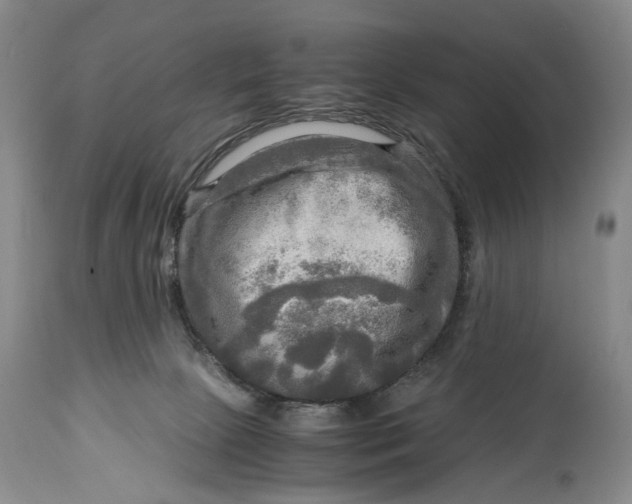 X0000114560081200911091228