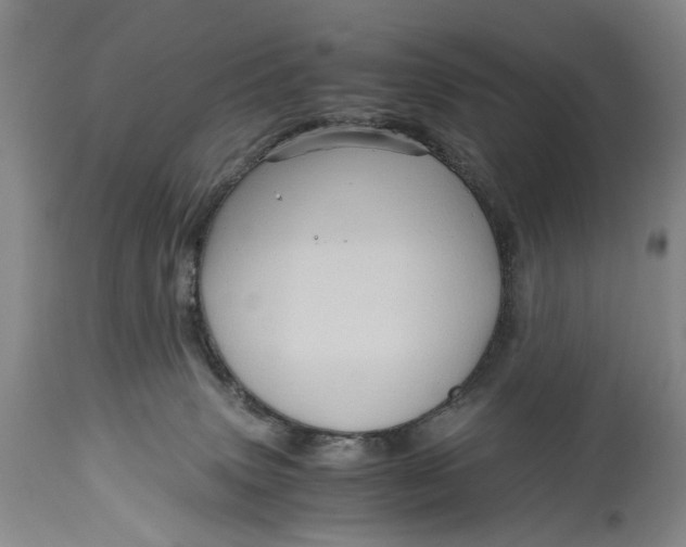 X0000114560083200911091228