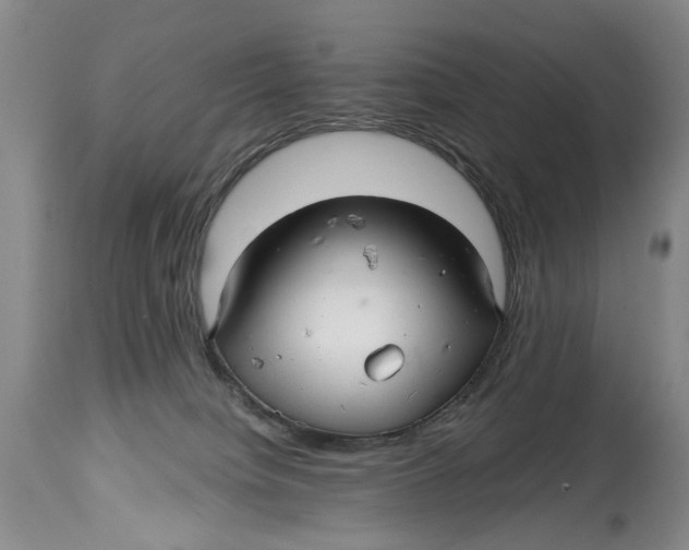 X0000114560084200911091228