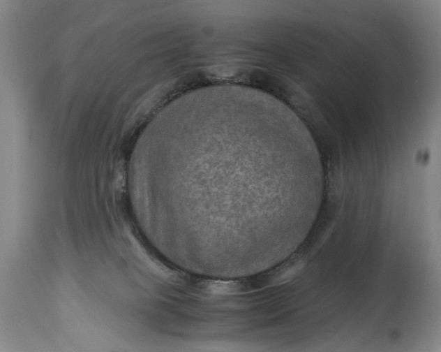 X0000114560085200911091228