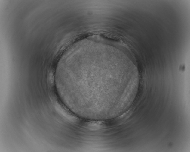 X0000114560086200911091228
