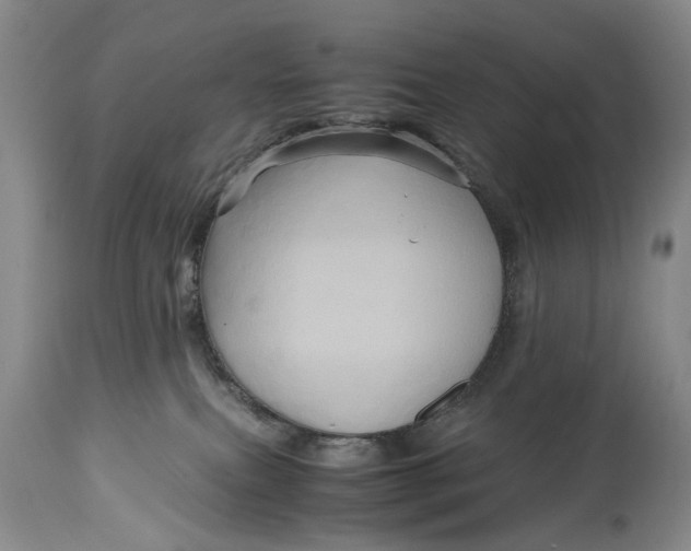 X0000114560087200911091228